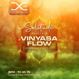 mind body chill vinyasa flow fitness workout