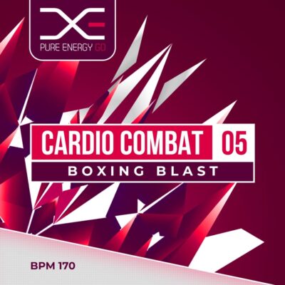 cardio combat 5 boxing blast fitness workout